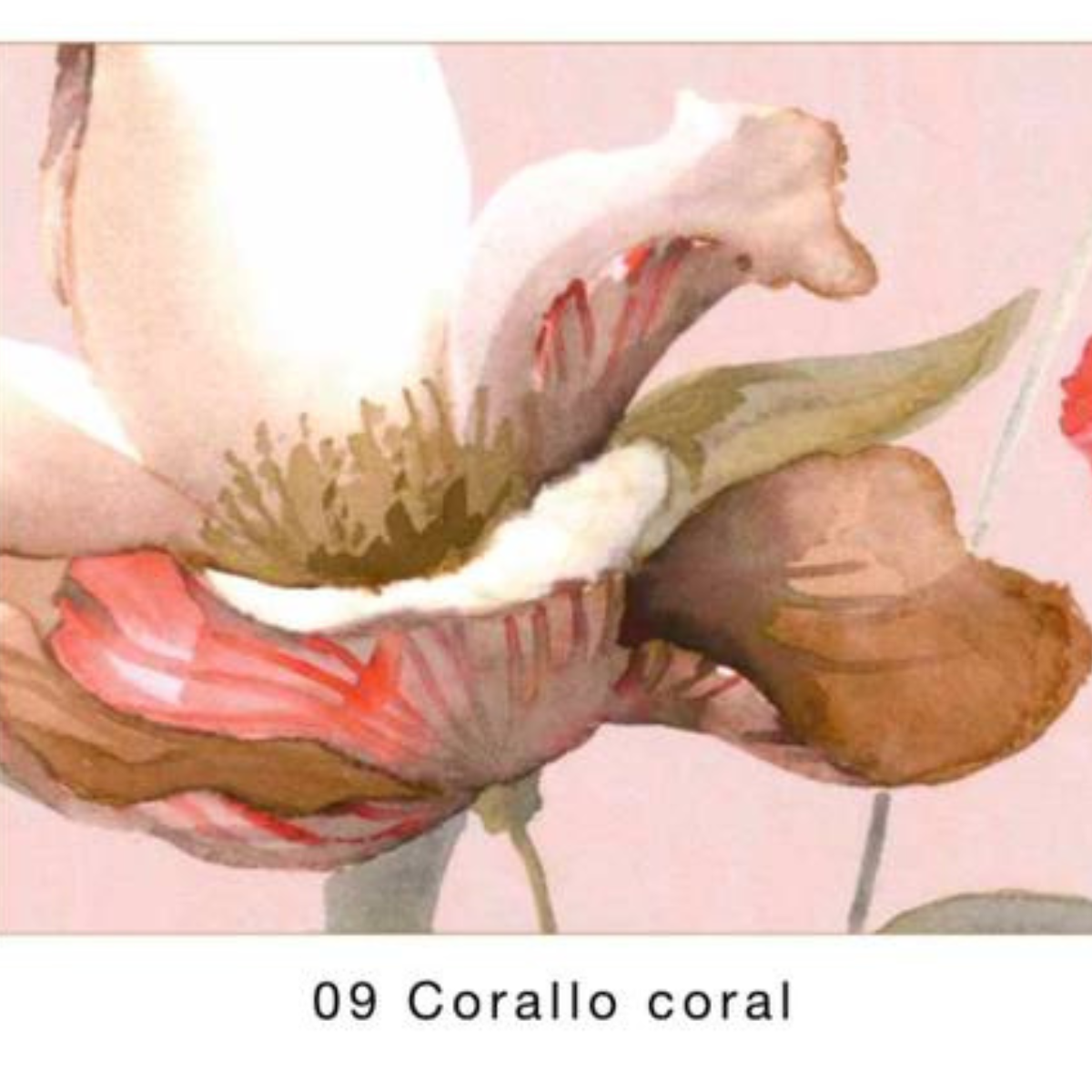 Trapunta 2 posti Fleurette Blumarine