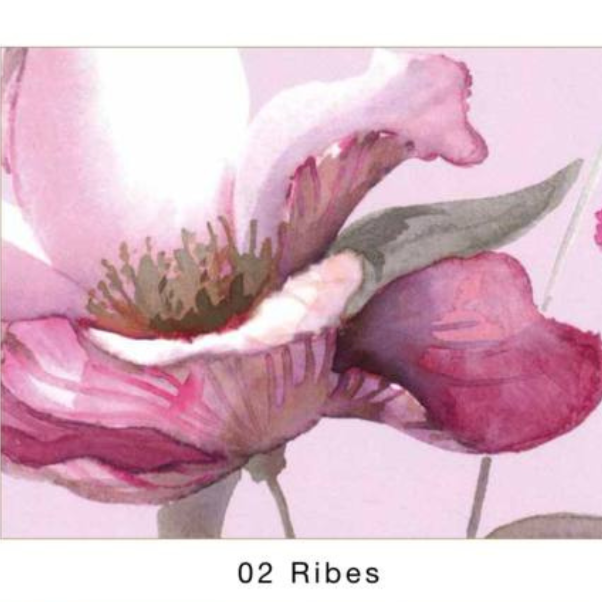 Trapunta 2 posti Fleurette Blumarine