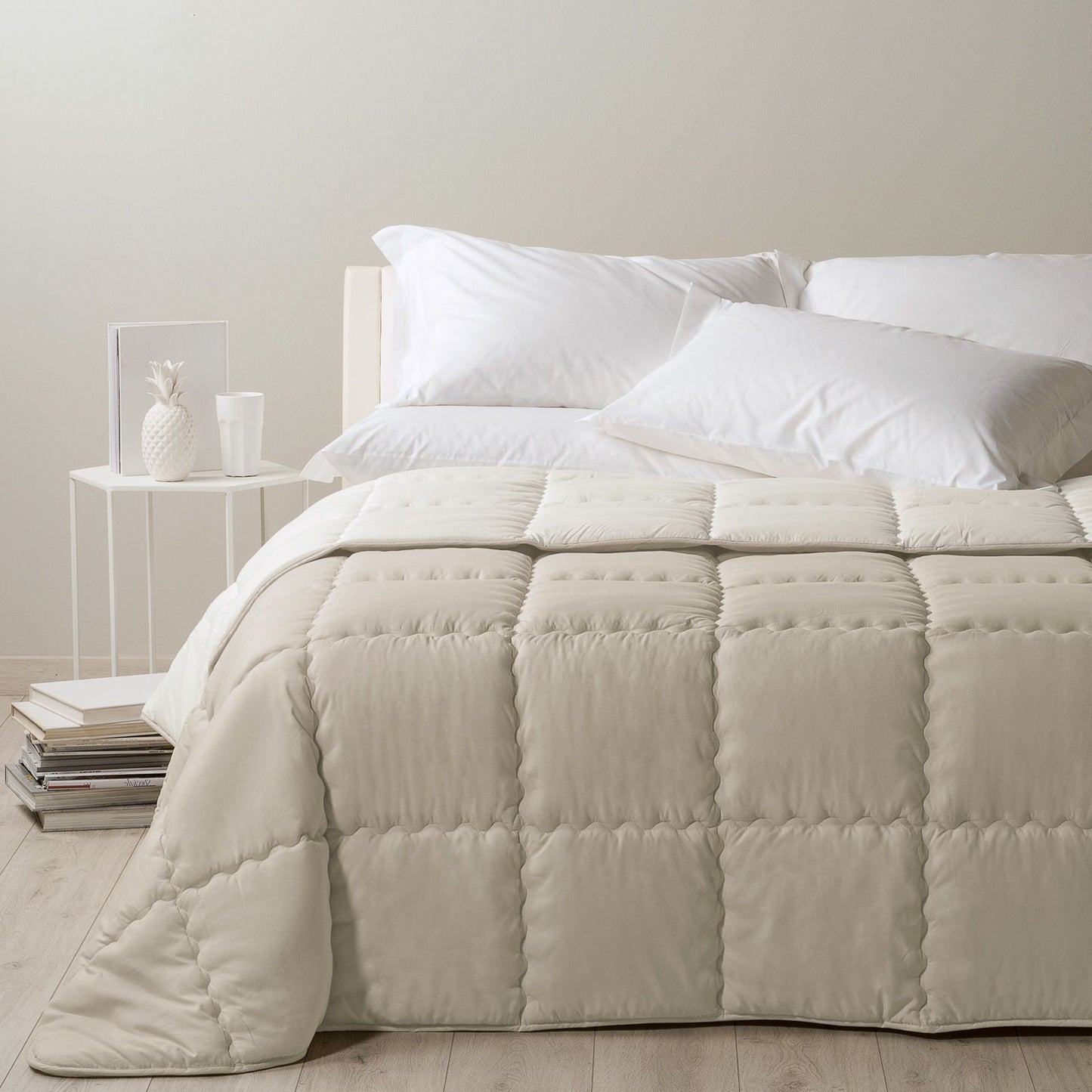 27252101