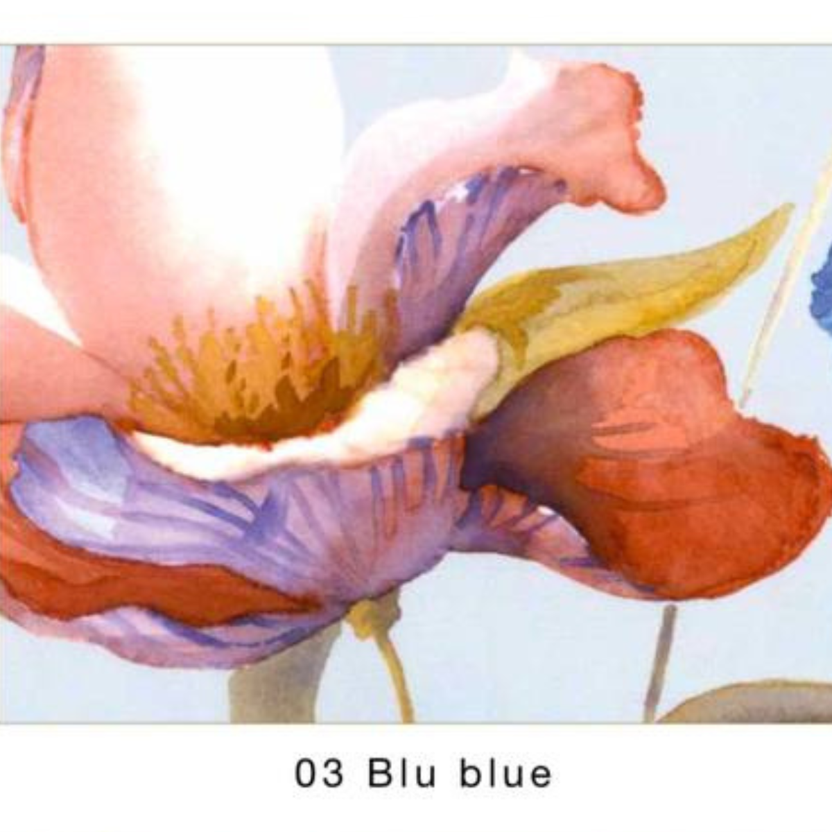 Trapunta 2 posti Fleurette Blumarine