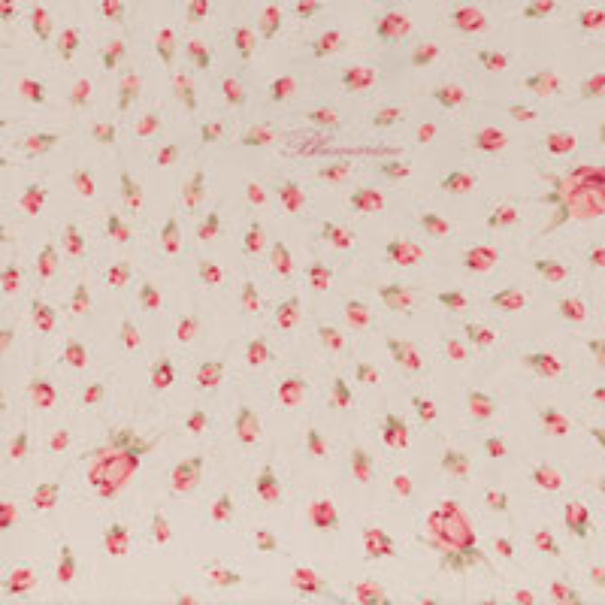 Trapunta Sogno Matrimoniale Blumarine
